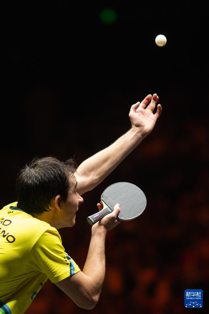 反击虽然迅 反击虽然迅